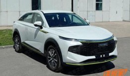 哈弗神兽视频爆料大全集,揭秘神秘生物的神秘面纱