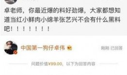 卓伟爆料整个娱乐圈小说,娱乐圈风云再起，揭秘明星背后的秘密